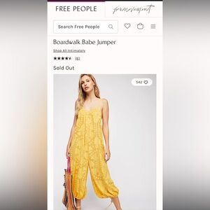 Free people sheer jumper